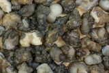 Lot: to Natural Chalcedony Nodules - Pieces #137958-1